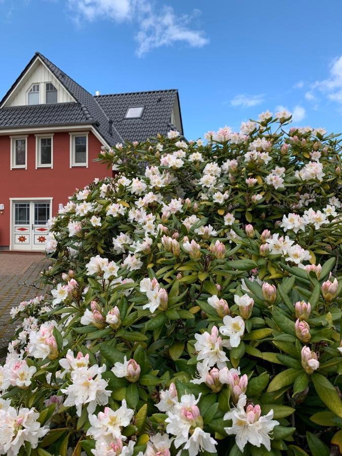 Ferienwohnung Strandgut - Kavelweg 9 - ซิงสท์ ภายนอก รูปภาพ