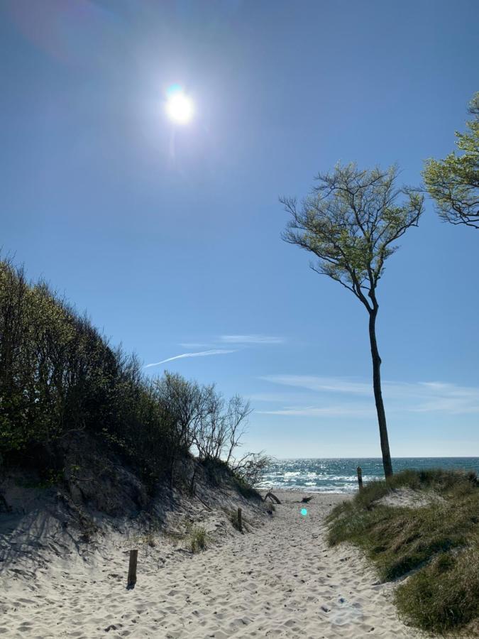 Ferienwohnung Strandgut - Kavelweg 9 - ซิงสท์ ภายนอก รูปภาพ