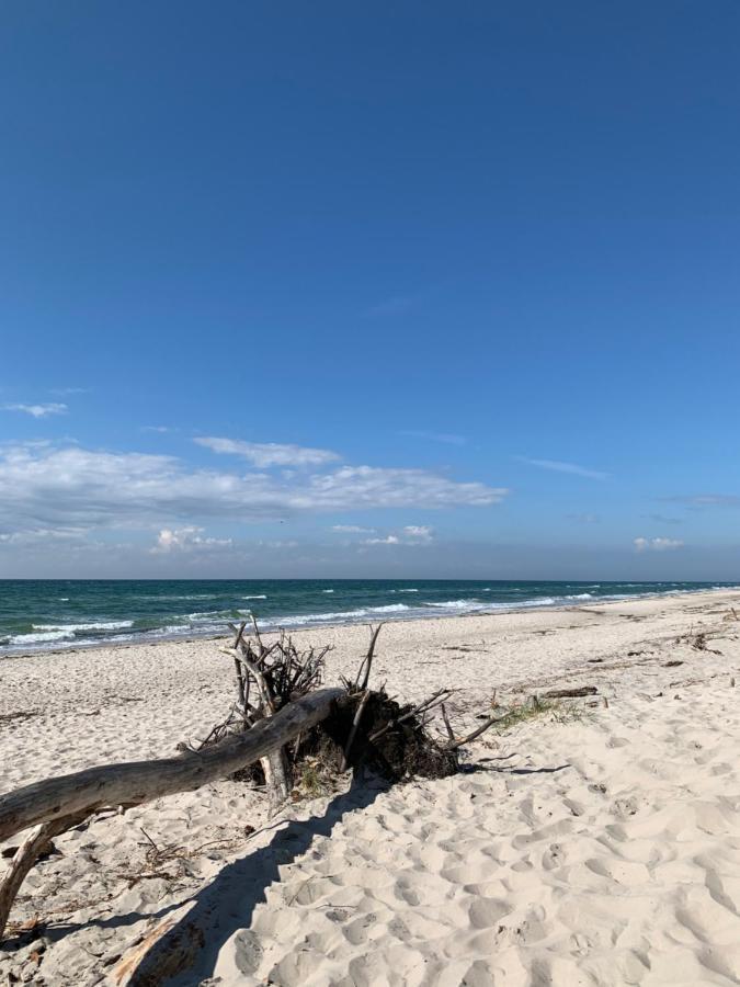 Ferienwohnung Strandgut - Kavelweg 9 - ซิงสท์ ภายนอก รูปภาพ